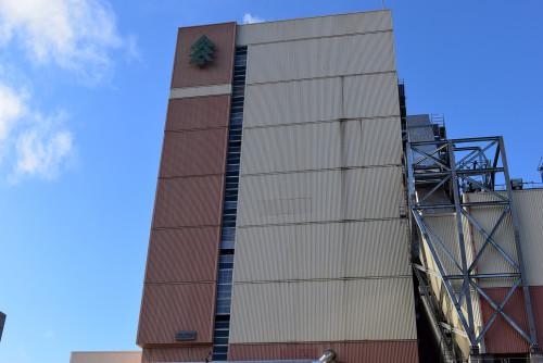 Valmet Región Andes realiza puesta en marcha de nueva línea de Producción de Arauco