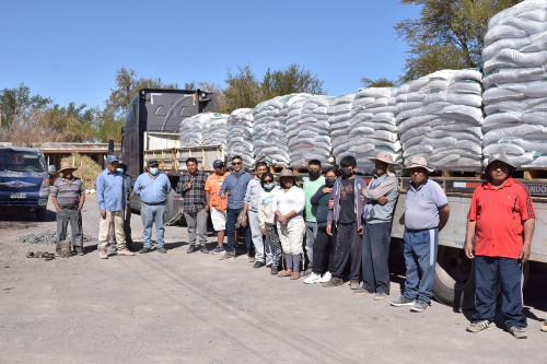 Ganaderos de la Pampa de El Tamarugal recibieron 20 toneladas de alimentos para sus animales