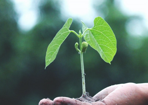 Estudio revela que sólo 3 de cada 10 empresas se preocupan por el contexto social y ambiental