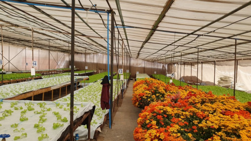 Programa busca potenciar los agroalimentos cultivados en el Desierto de Atacama