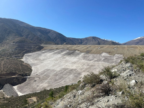 Los Pelambres avanza en forestación con vegetación nativa en 300 hectáreas del Tranque Quillayes