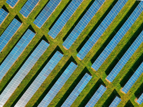 «Agrivoltaica»: la nueva tendencia sustentable