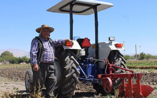 Fondo Agrícola de Minera El Abra ayuda a modernizar labor productiva de agricultor calameño