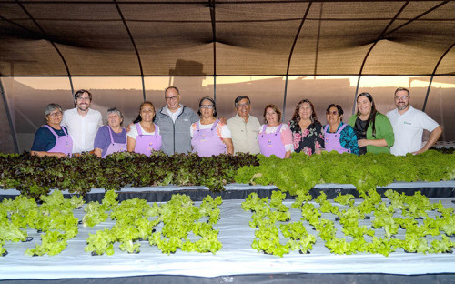 Agricultoras de Caleta Urco implementarán innovador sistema energético para producción hidropónica