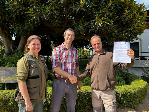 Jardín Botánico de Viña del Mar recibirá 2 mil naranjillos y otras especies nativas para su reforestación aportadas por Aclara
