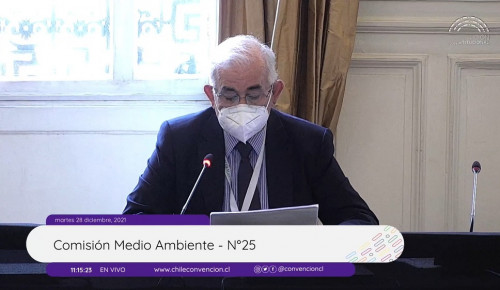 Sonami expone ante Comisión de la Convención Constitucional