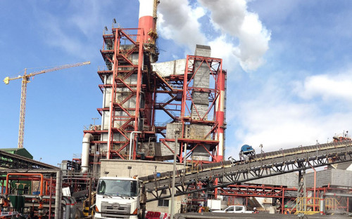 Huasco: SMA ordena medidas a Termoeléctrica Guacolda por daños a especies marinas