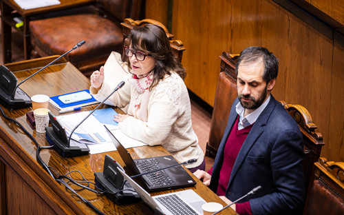 Autoridades de Economía y Minería presentan al Senado la Estrategia Nacional de Litio