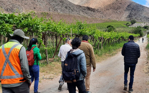 SEA Atacama realiza visita a terreno por proyecto fotovoltaico en Alto del Carmen