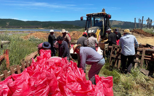 División El Teniente adquiere 500 toneladas de sal a Cooperativa de Salineros de Lo Valdivia