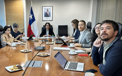 Comité de Ministros realizó su segunda sesión del año 2024 y resolvió la calificación ambiental de proyecto Cerro Negro