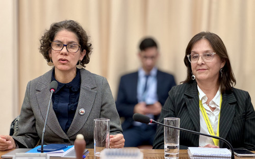Avanza reforma a la SMA: Comisión de Medio Ambiente de la Cámara aprueba en general el proyecto