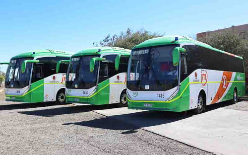 Radomiro Tomic incorpora 65 buses 100% eléctricos y se convierte en la flota más grande del norte