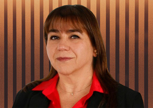 Claudia Rodríguez asumió como vicepresidenta ejecutiva (s) de Cochilco