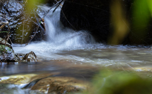 Aclara anuncia que desistirá de todos sus derechos de aguas para cederlos a la comuna de Penco y la biodiversidad
