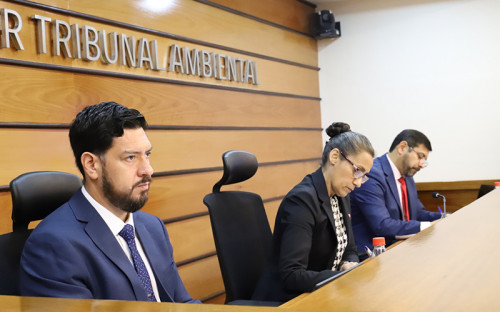 Minera Bullmine reclama ante el Primer Tribunal Ambiental por determinación de área protegida